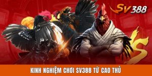 Kinh Nghiệm Chơi Sv388 Từ Cao Thủ Với 4 Hình Thức Phổ Biến